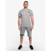 TRADEMARK™ STRIPES Shorts Grey