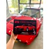 Metal Poster FERRARI 208 GTB