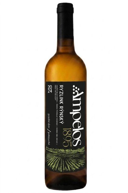 Ryzlink rýnsky 2024