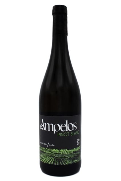 Pinot blanc 2022 dousek vina