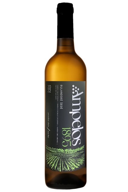 chardonnay polosuche 2023