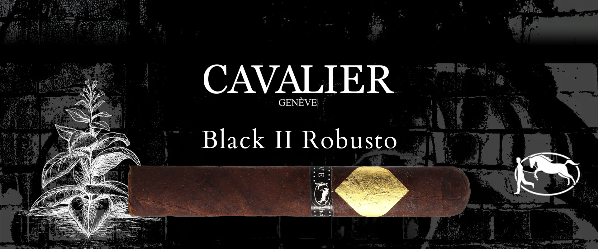 Cavalier Black II Robusto