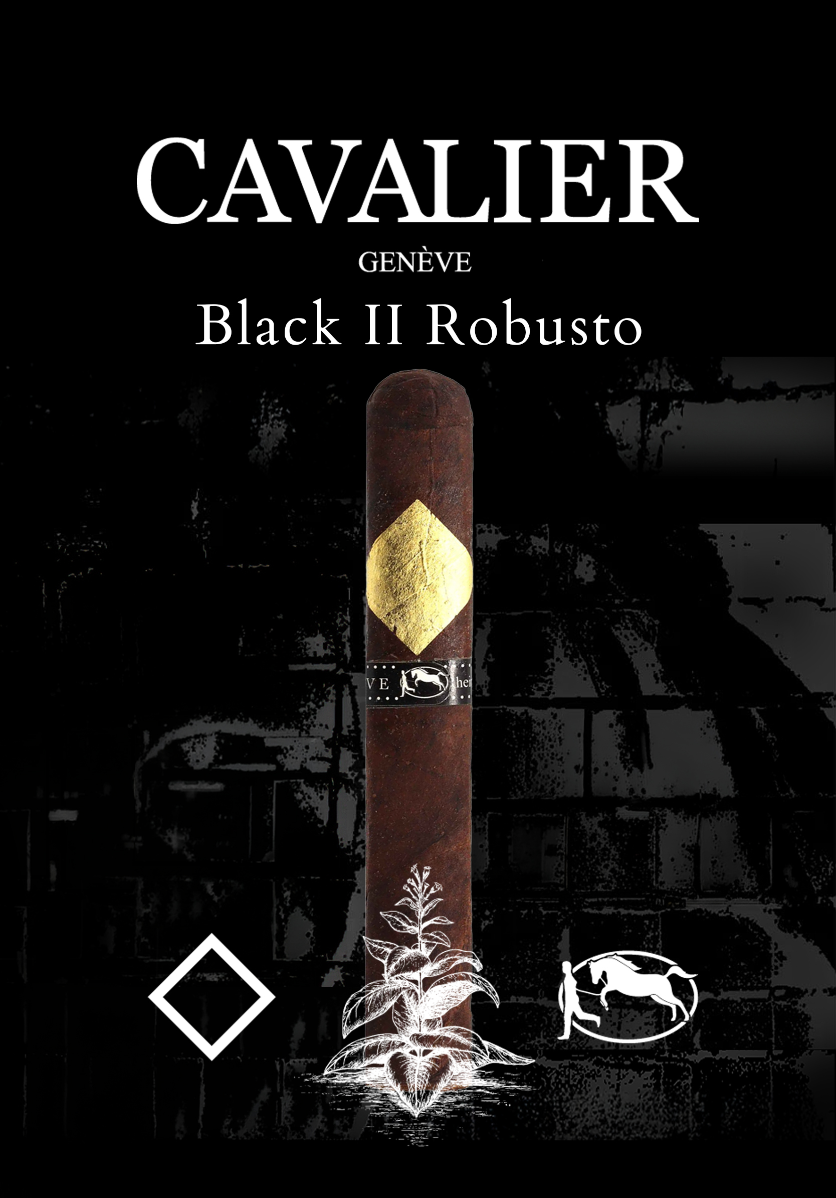 Cavalier Black II Robusto