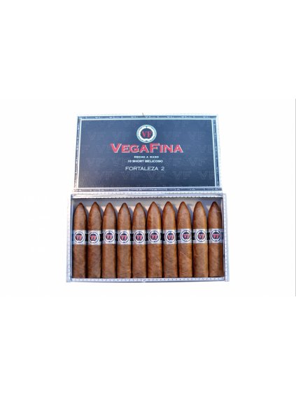 VEGAFINA F2 SHORT BELICOSO 3