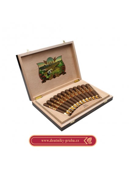 Oliva V 135th anniversary perfecto 12 ks pcs