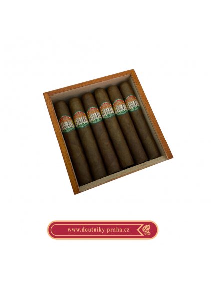 Villa Casdagli Robusto 12 ks pcs