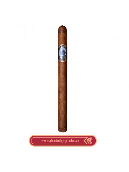 Casdagli basilica c no 2 Lancero 20 ks pcs