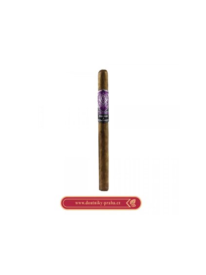 hiram and solomon travelingman lancero