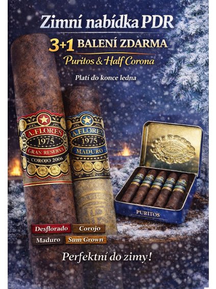 PDR 3+1 ipad 1668x2388