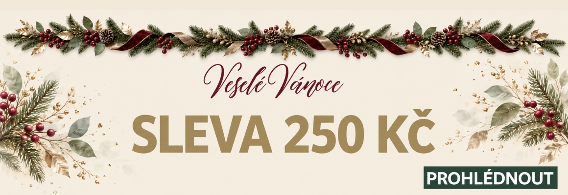 Vánoční nákupy se slevou 250 Kč