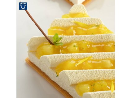 47003792 2205293926396668 4945918449256759296 n