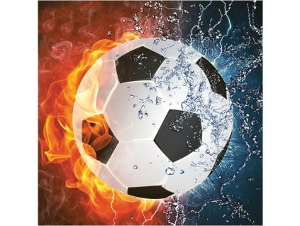 celorocne servitky 33x33cm 20ks sdog 16801