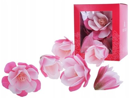 Magnólia ružová 6ks/bal