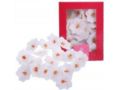 Hortenzia biela 18ks/bal