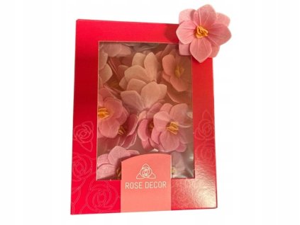 Hortenzia ružová 18ks/bal