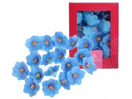 Hortenzia modrá 18ks/bal