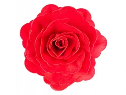 Čínska ruža- červená 1ks