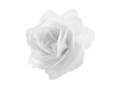 Čínska ruža- biela 1ks