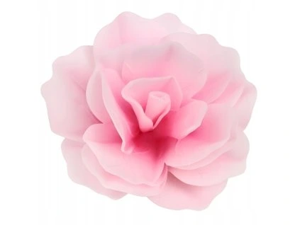 Čínska ruža- ružová 1ks