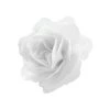 Čínska ruža- biela 1ks