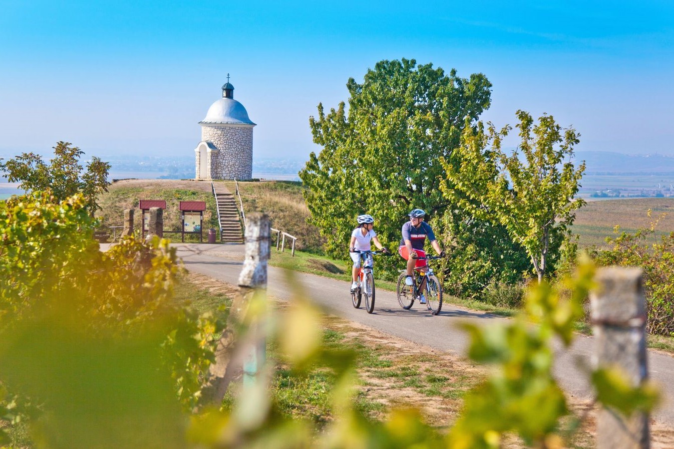 Cyklovýlet mezi vinicemi: po největších vinařských obcích jižní Moravy