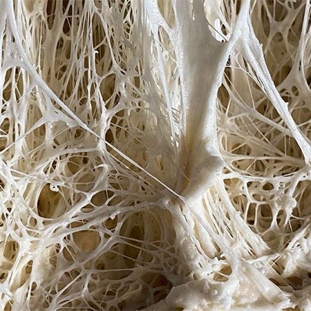 Procesy probíhající v těstě