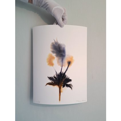 piknik print 2000