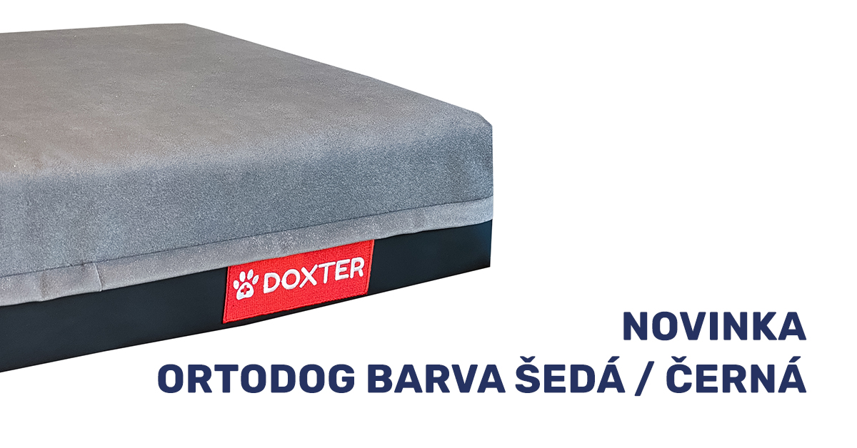 nova-barva-psi-matrace-doxter-ortodog