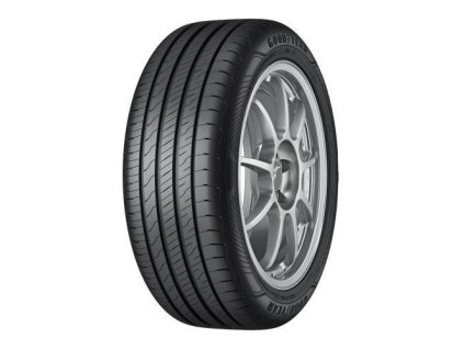205/55 R 17 EFFIGRIP.PERF. 2 95V XL