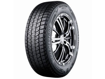 Bridgestone DM V3