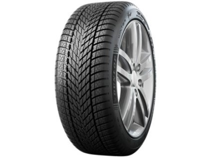 Dunlop Winter