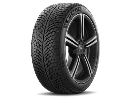 Michelin Pilot Alpin 5