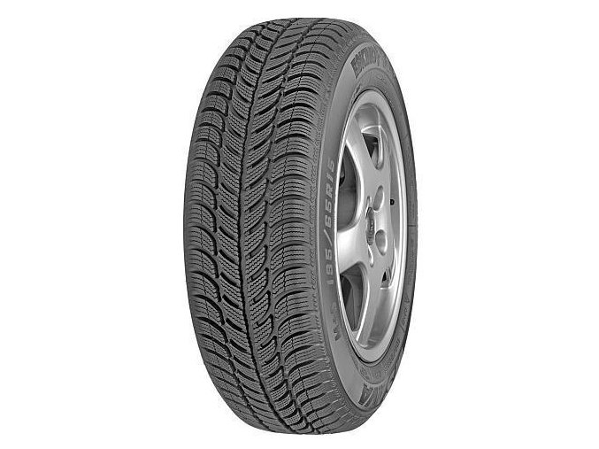 195/65 R 15 ESKIMO S3+ 91T