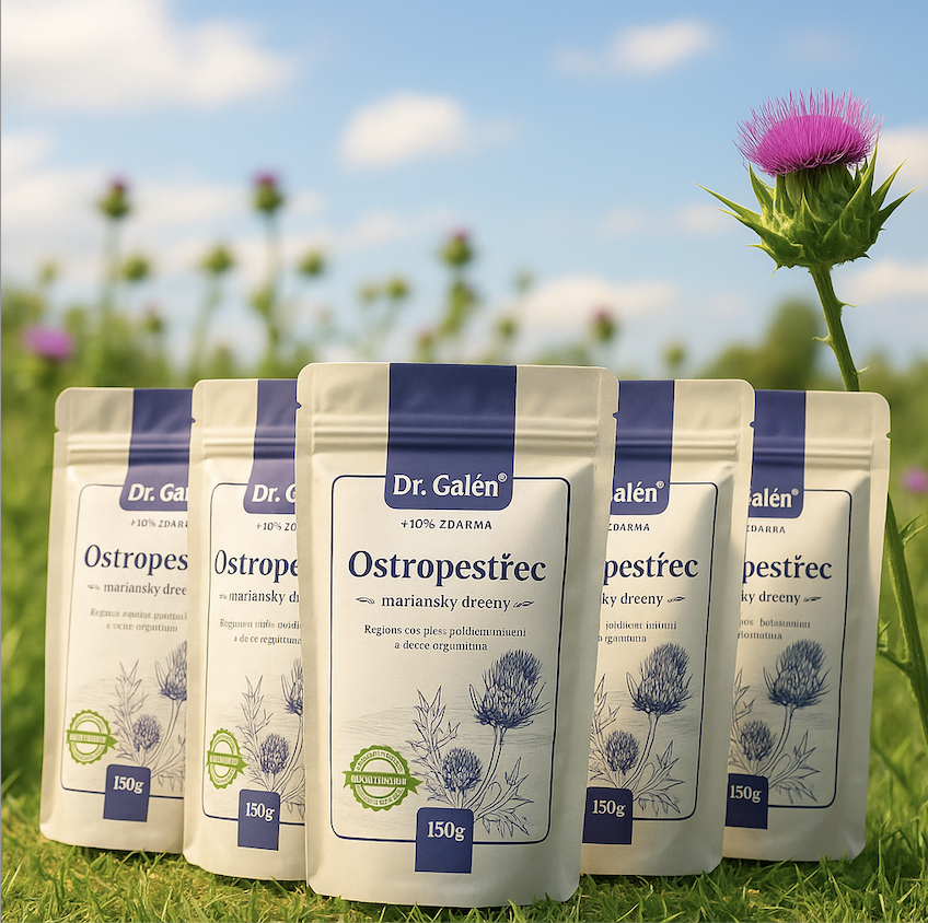 Očistná kůra jater  -  ostropestřec mariánský