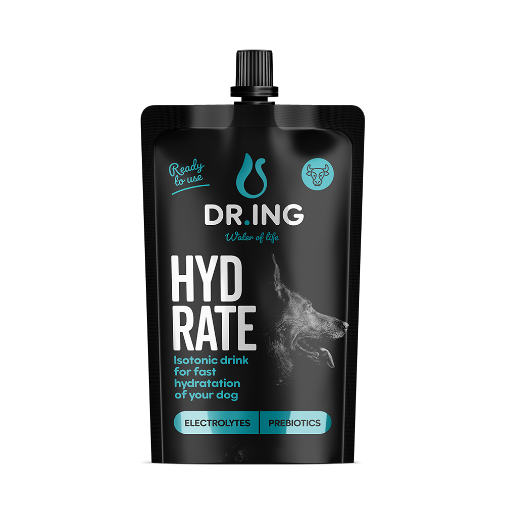 Hydrate Dog