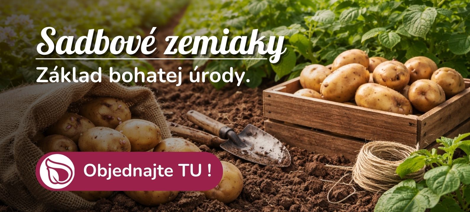 sadbové zemiaky