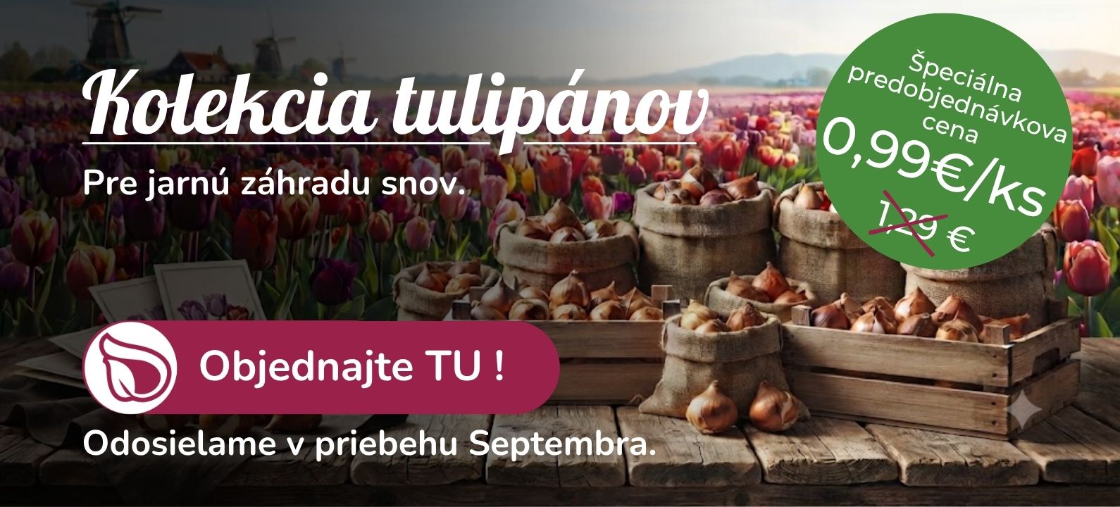 Tulipány