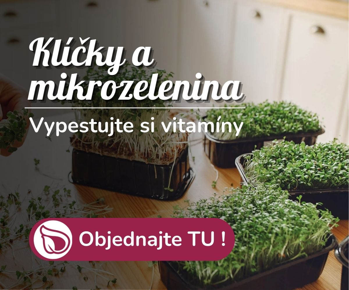 Klíčky a mikrozelenina
