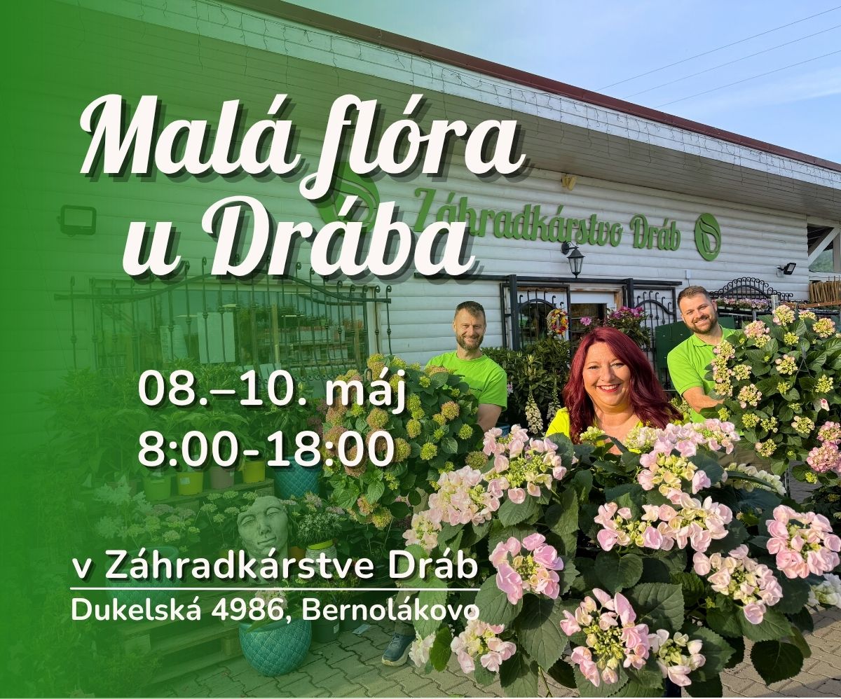 Malá flóra u Drába