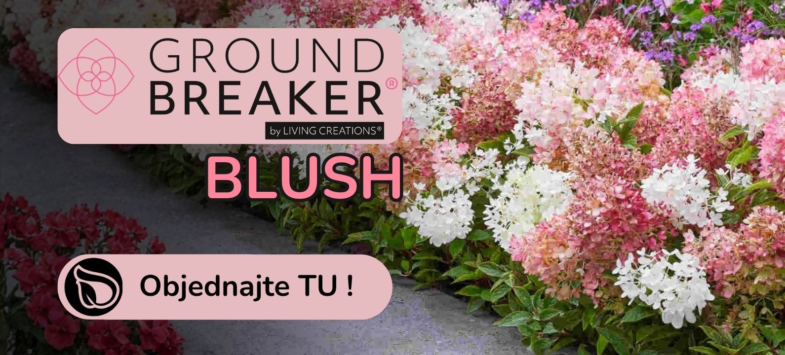 Groundbreaker Blush