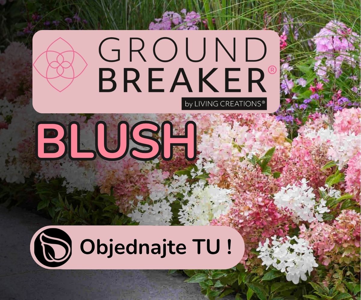 Groundbreaker Blush
