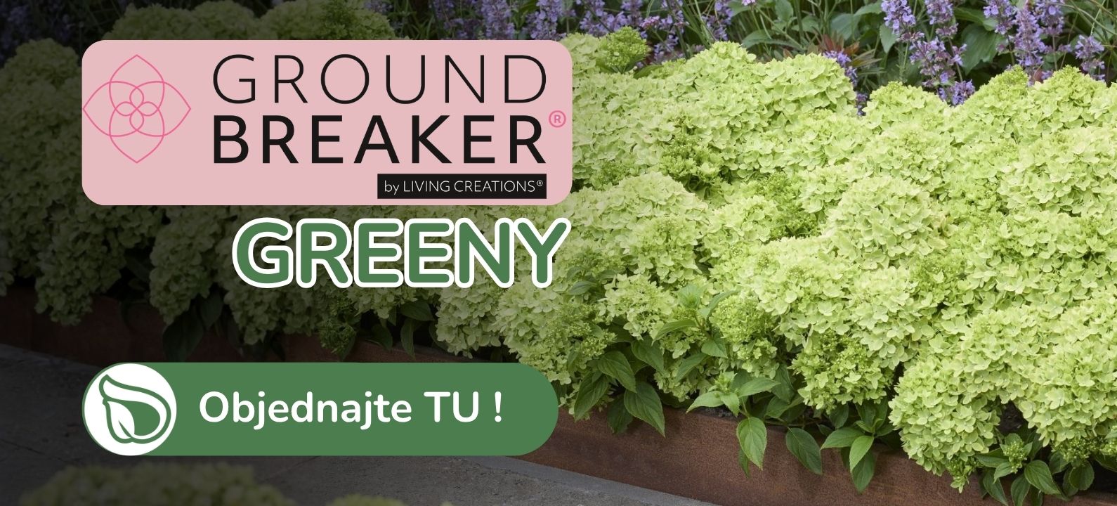 Groundbreaker Greeny