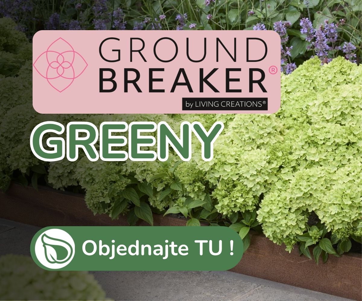 Groundbreaker Greeny