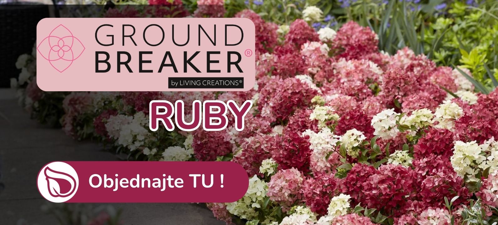 Groundbreaker Ruby