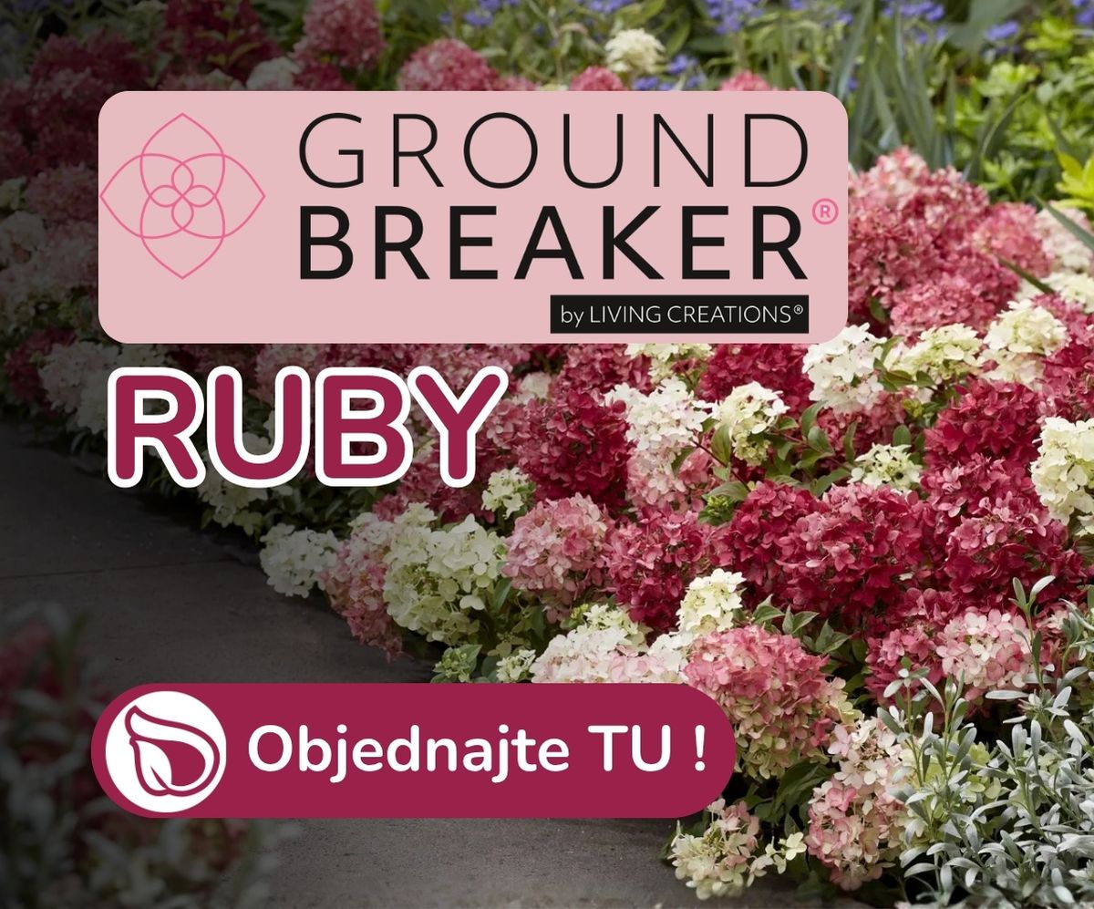 Groundbreaker Ruby