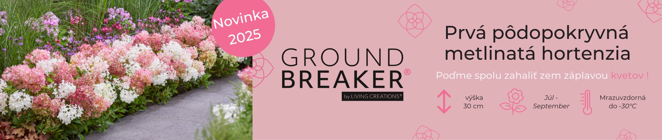Hortenzia groundbreaker