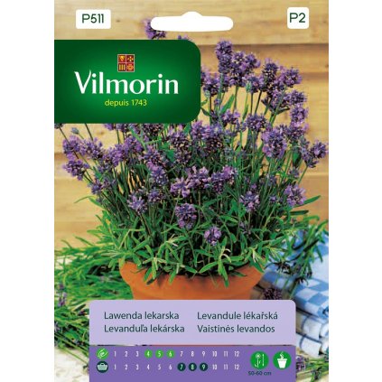 LEVANDUĽA LEKÁRSKA