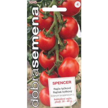 PARADAJKA SPENCER F1