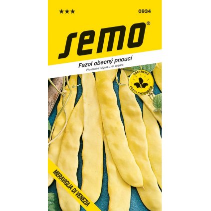 FAZUĽA KOLÍKOVÁ MERAVIGLIA DI VENEZIA