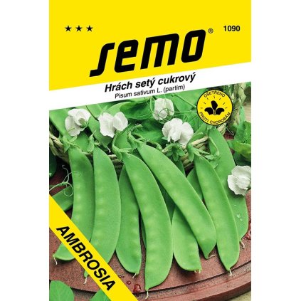 HRACH STREDNE SKORÝ AMBROSIA